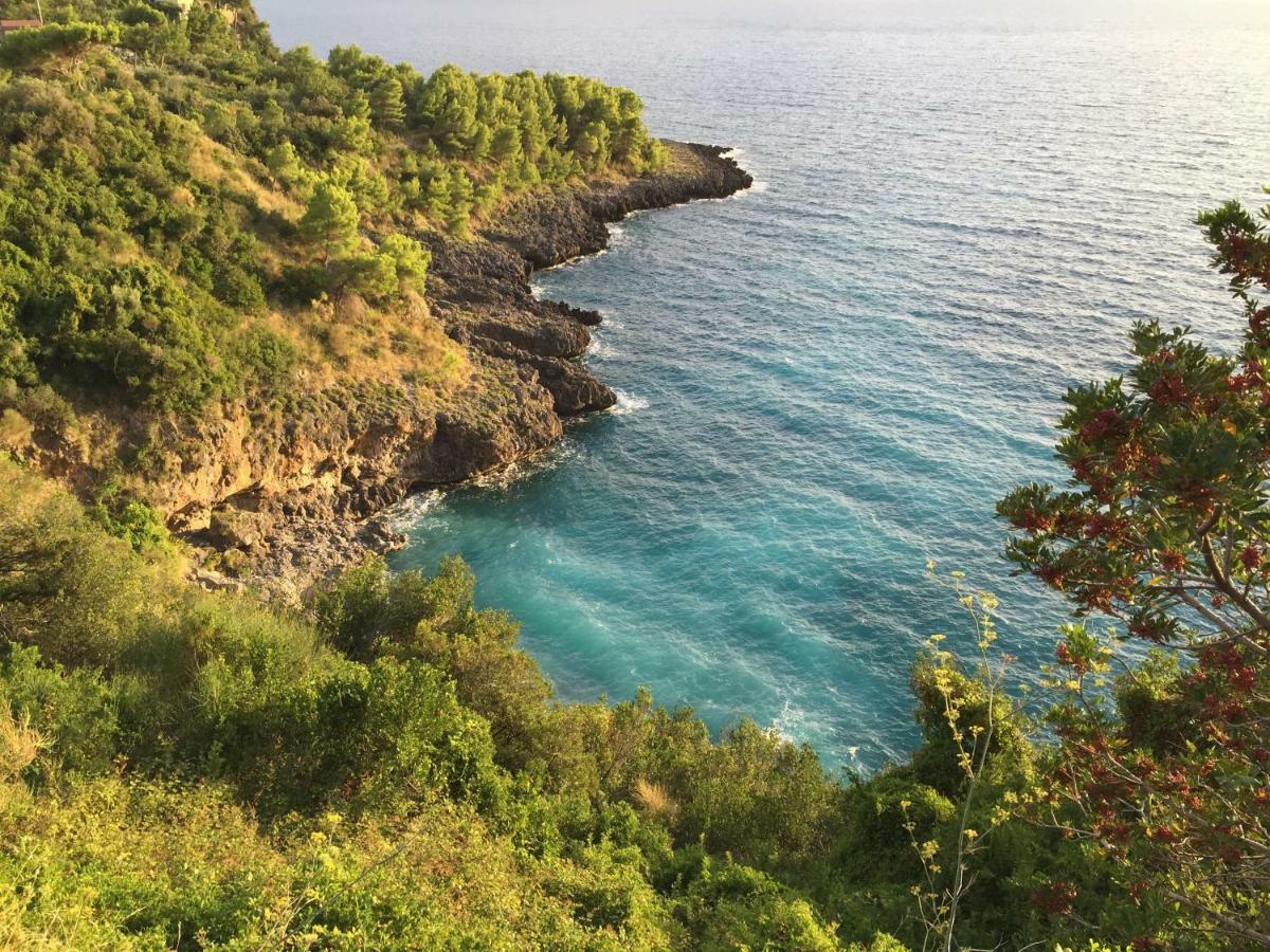 Fili D'Erba Cilento Villa Villammare Exterior photo